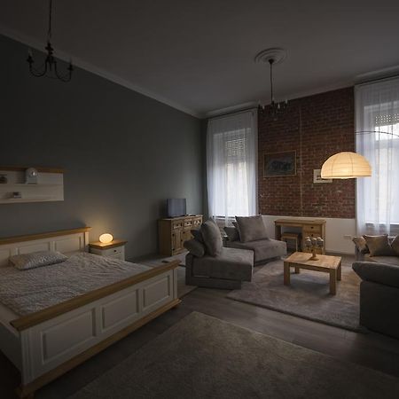 Apartament Maria ティミショアラ エクステリア 写真